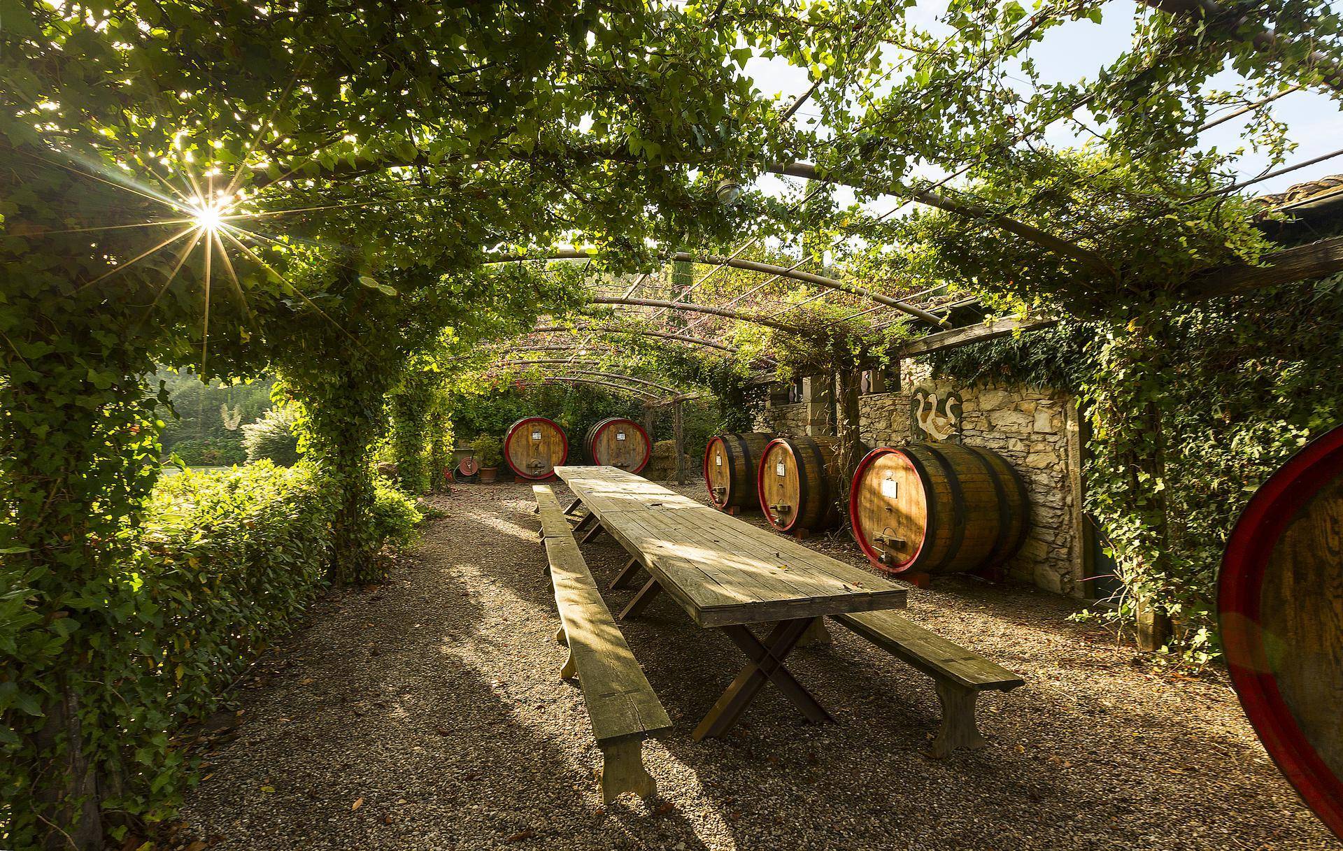 A vine covered dining table surrounded by wine barrels at Colle Bereto.