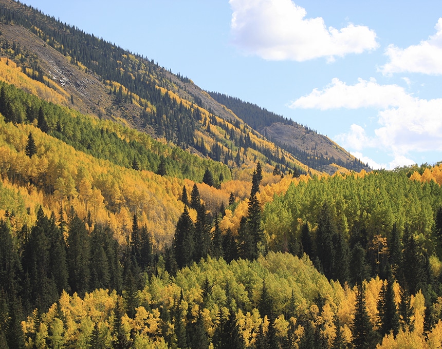 Your Guide to Aspen in the Fall