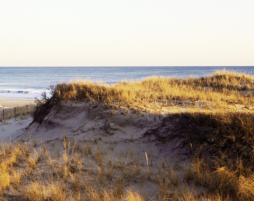 Experience a Picturesque Fall in the Hamptons