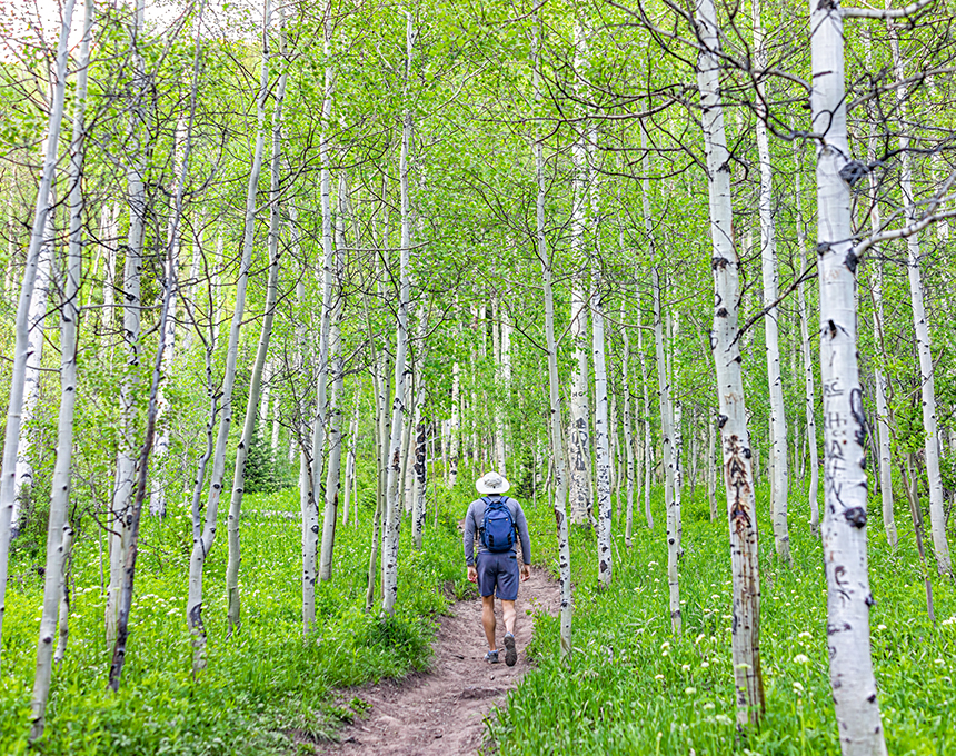 Extend Your Stay in Vail This Spring