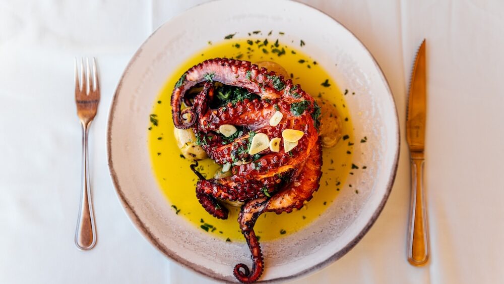 Octupus plated dish.