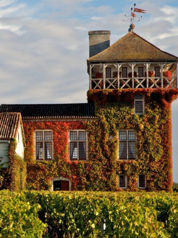 A picturesque ivy-clad château in Bordeaux framed by lush vineyard rows under a golden sky.