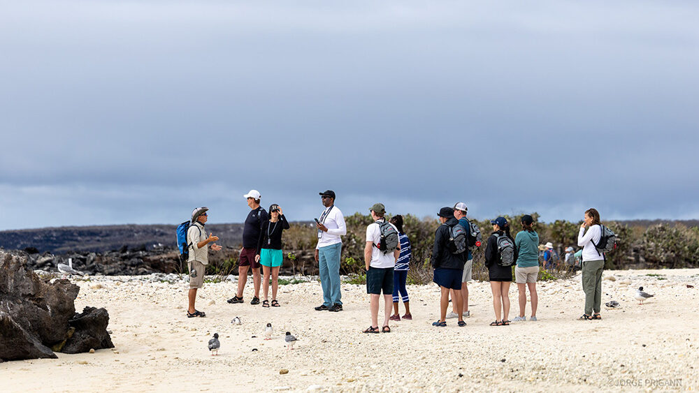 Inspirato members gathered with a naturalist guide on a white-sand beach in the Galápagos Islands, Ecuador. Part of a Silver Origin luxury expedition cruise, highlighting personalized service, eco-luxury travel, and immersive wildlife experiences in South America.