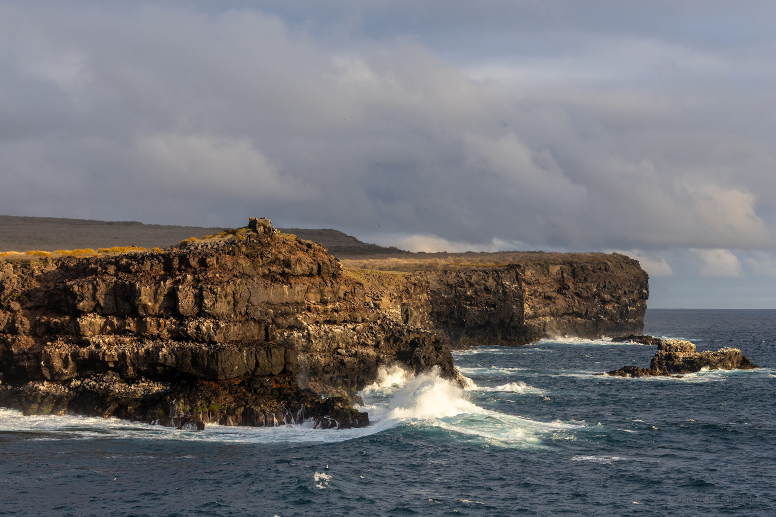 Galápagos Luxury Cruise: Discover the Islands with Inspirato 