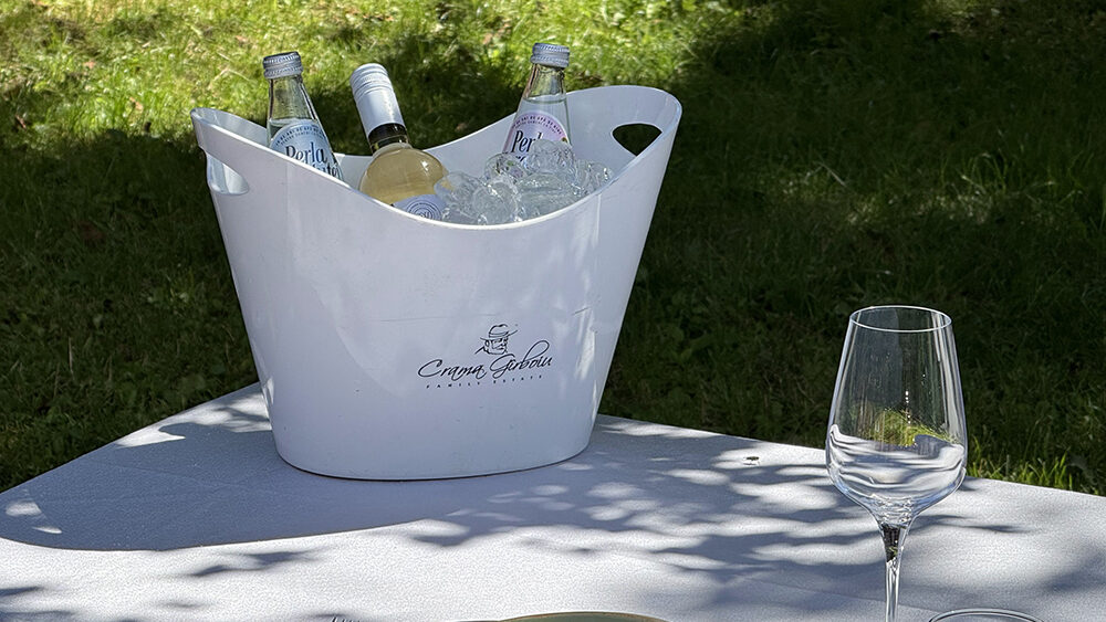 A white wine bottle and sparkling water chill in a white ice bucket on an outdoor table set with glassware and plates, shaded by trees on a sunny lawn, creating an elegant countryside dining setting.