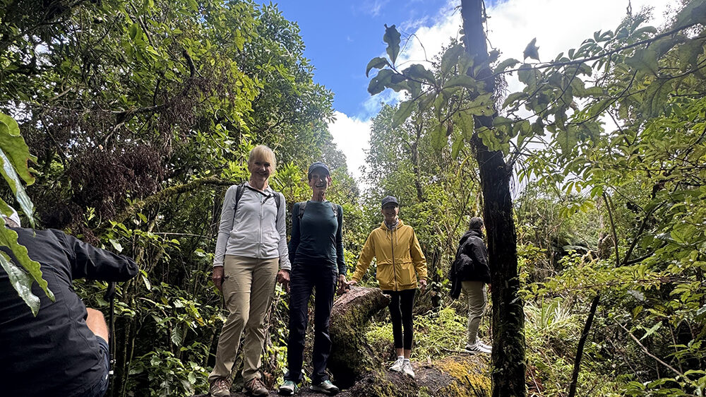 Inspirato members hiking through a lush New Zealand forest, standing on a moss-covered fallen tree beneath a canopy of native foliage and blue sky.
