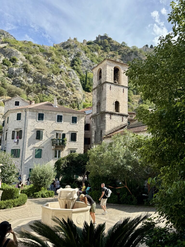 Tree Square in Kotor