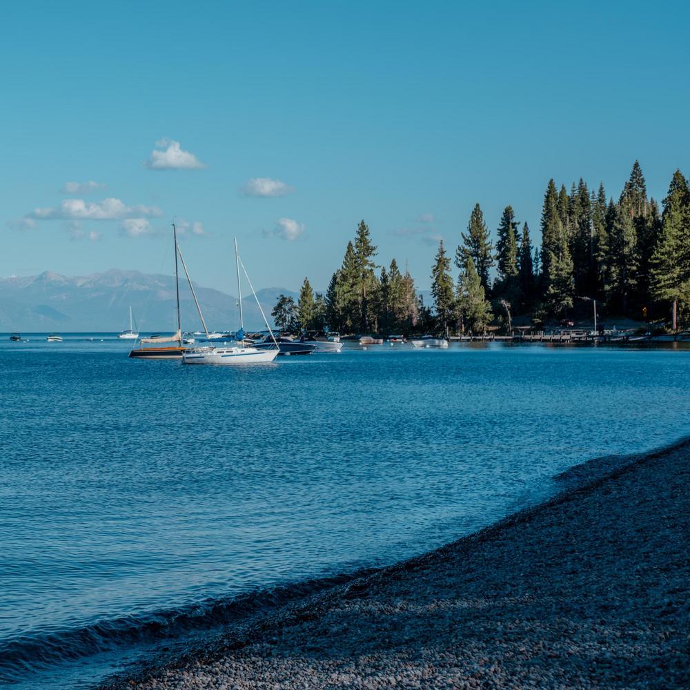 Boats moored along the shore at Lake Tahoe.
