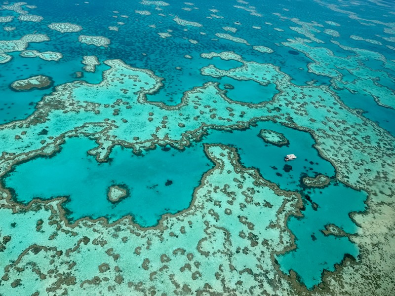 aerial shot of the Great Barrier Reef