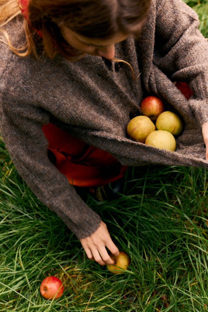 picking apples in the fall, in one of the best leaf-peeping destinations in the United States