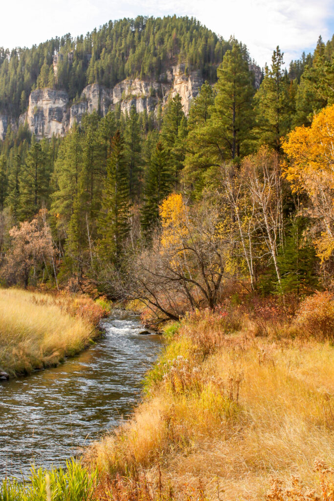 fall scene in the mountains