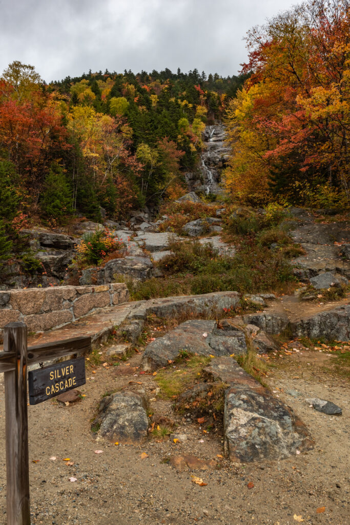 trail head in the fall