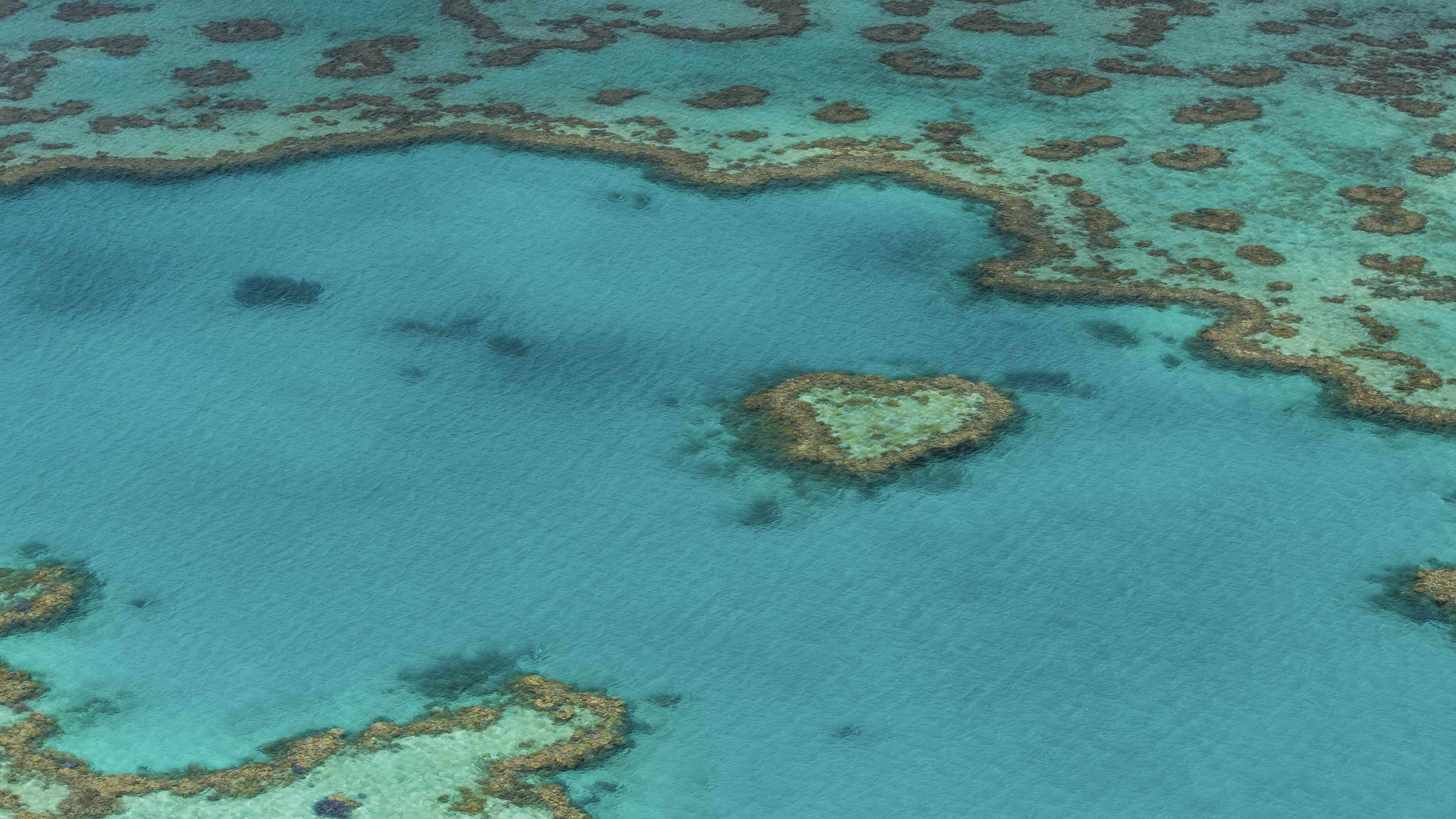 A Great Bespoke Trip to the Great Barrier Reef