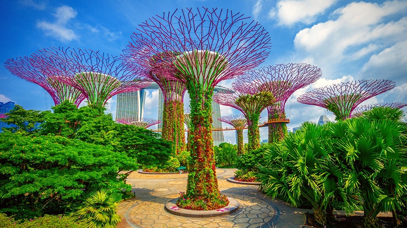 Gardens by the Bay — Singapore 